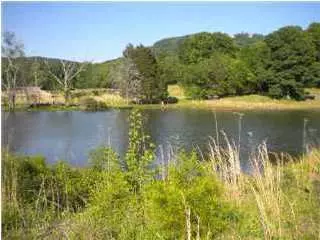 7084 Gregory Dr, Ooltewah, TN 37363 photo 33