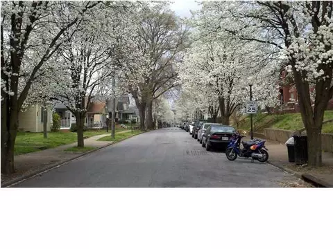1021 E 8th St, Chattanooga, TN 37403 photo 20