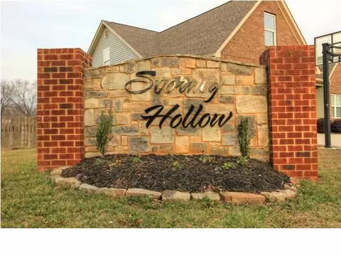897 Windrush Loop, Chattanooga, TN 37421 photo 26
