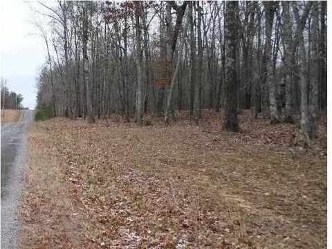 290 Mossy Oak Dr, Sequatchie, TN 37374 photo 2