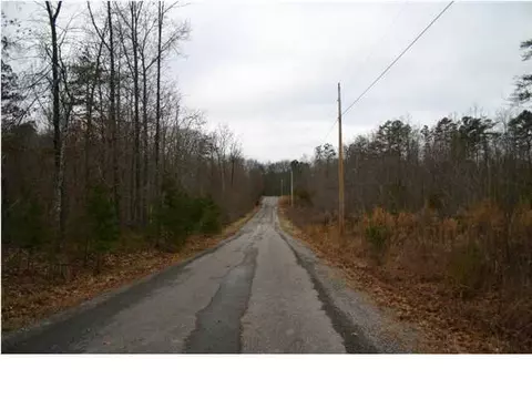 290 Mossy Oak Dr, Sequatchie, TN 37374 photo 3