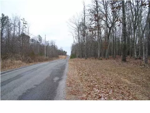 290 Mossy Oak Dr, Sequatchie, TN 37374 photo 4