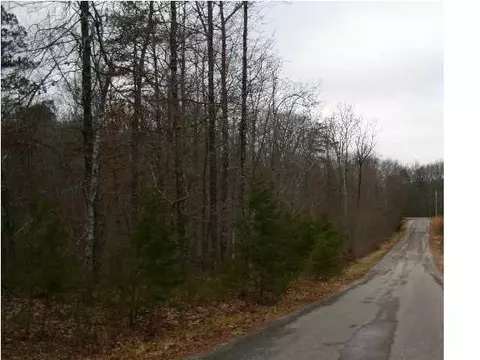 290 Mossy Oak Dr, Sequatchie, TN 37374 photo 6