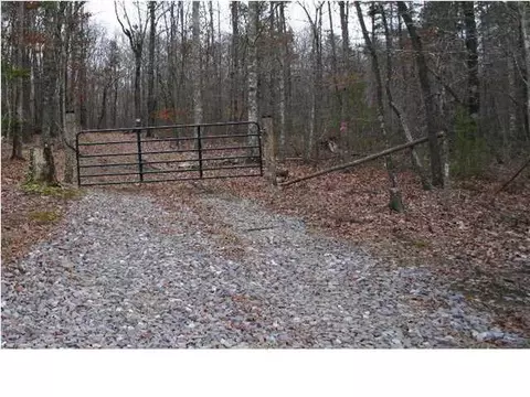290 Mossy Oak Dr, Sequatchie, TN 37374 photo 5