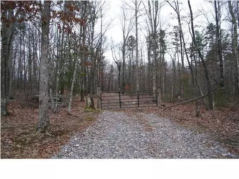 290 Mossy Oak Dr, Sequatchie, TN 37374 photo 1