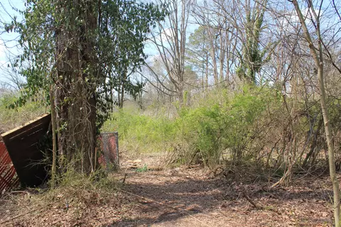8452 E Brainerd Rd, Chattanooga, TN 37421 photo 13