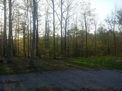 2168 Bluff View Dr, Dunlap, TN 37327 photo 6