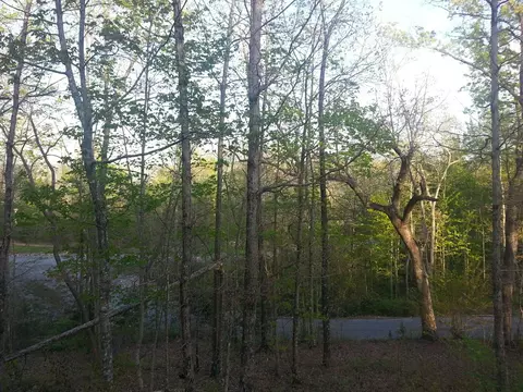 2168 Bluff View Dr, Dunlap, TN 37327 photo 3