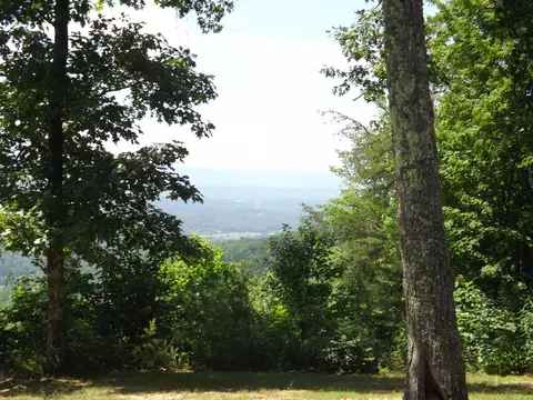 1325 Vineyard Point Rd, Sequatchie, TN 37374 photo 15