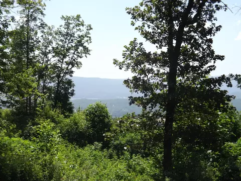 1325 Vineyard Point Rd, Sequatchie, TN 37374 photo 14