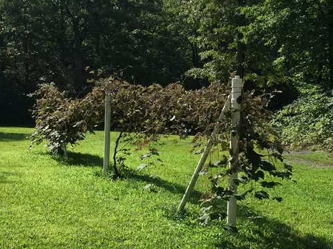 193 Locust Rd, Dunlap, TN 37327 photo 20