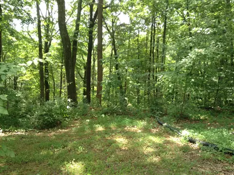175 Sharp Dr, Chickamauga, GA 30707 photo 16