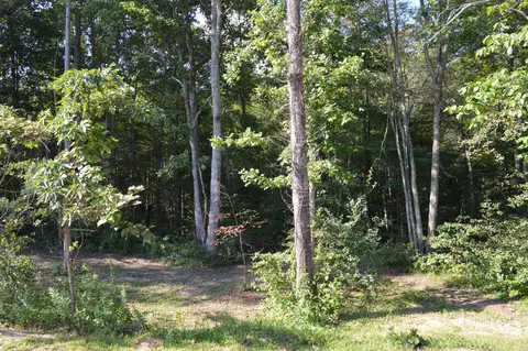 92 Harmon Rd, Dunlap, TN 37327 photo 14