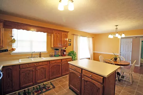 372 Spring Meadows Dr, Ringgold, GA 30736 photo 4
