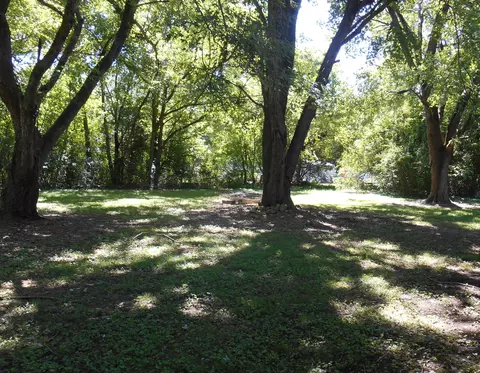 250 River Rd, Guild, TN 37340 photo 8