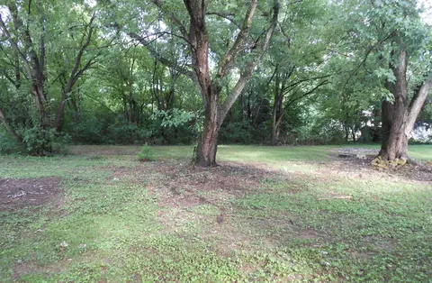 250 River Rd, Guild, TN 37340 photo 12