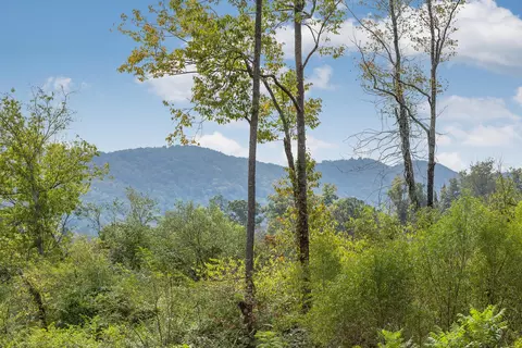 607 Dedmon Rd, Ringgold, GA 30736 photo 28
