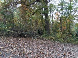 86 Log Rd, Ringgold, GA 30736 photo 1