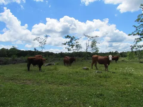 8485 Hwy 150, Sequatchie, TN 37374 photo 27