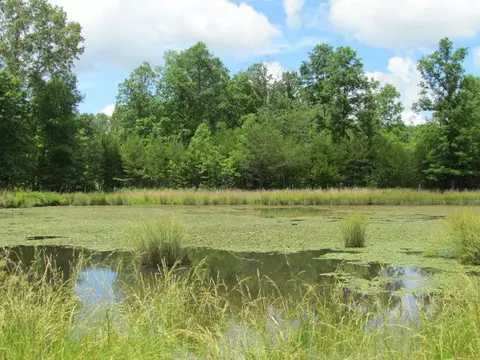 8485 Hwy 150, Sequatchie, TN 37374 photo 29