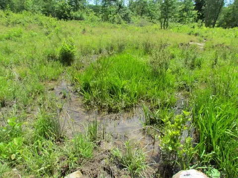 8485 Hwy 150, Sequatchie, TN 37374 photo 33