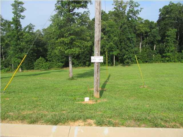 400 Fox Tr, Jasper, TN 37347 photo 1
