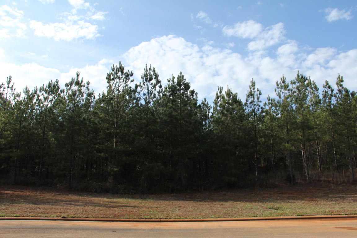 215 Mountain View Cir, Ocoee, TN 37361 photo 1