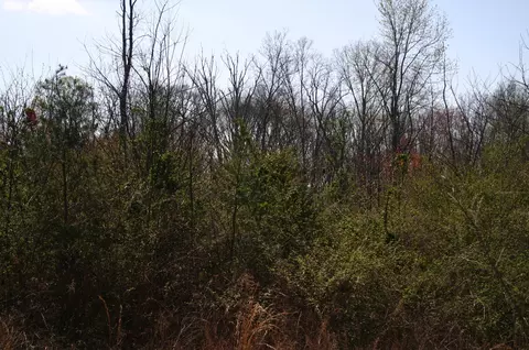 3517 Sequatchie Mountain Rd, Sequatchie, TN 37374 photo 6