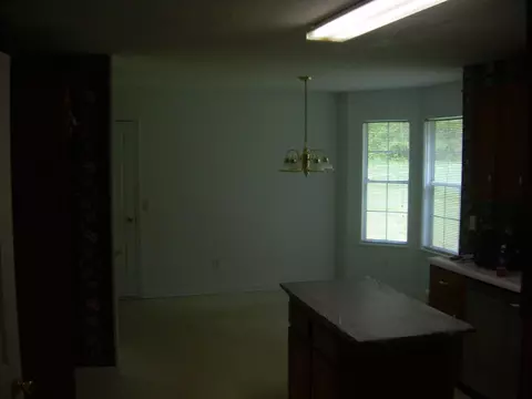8215 Fallen Maple Dr, Chattanooga, TN 37421 photo 4