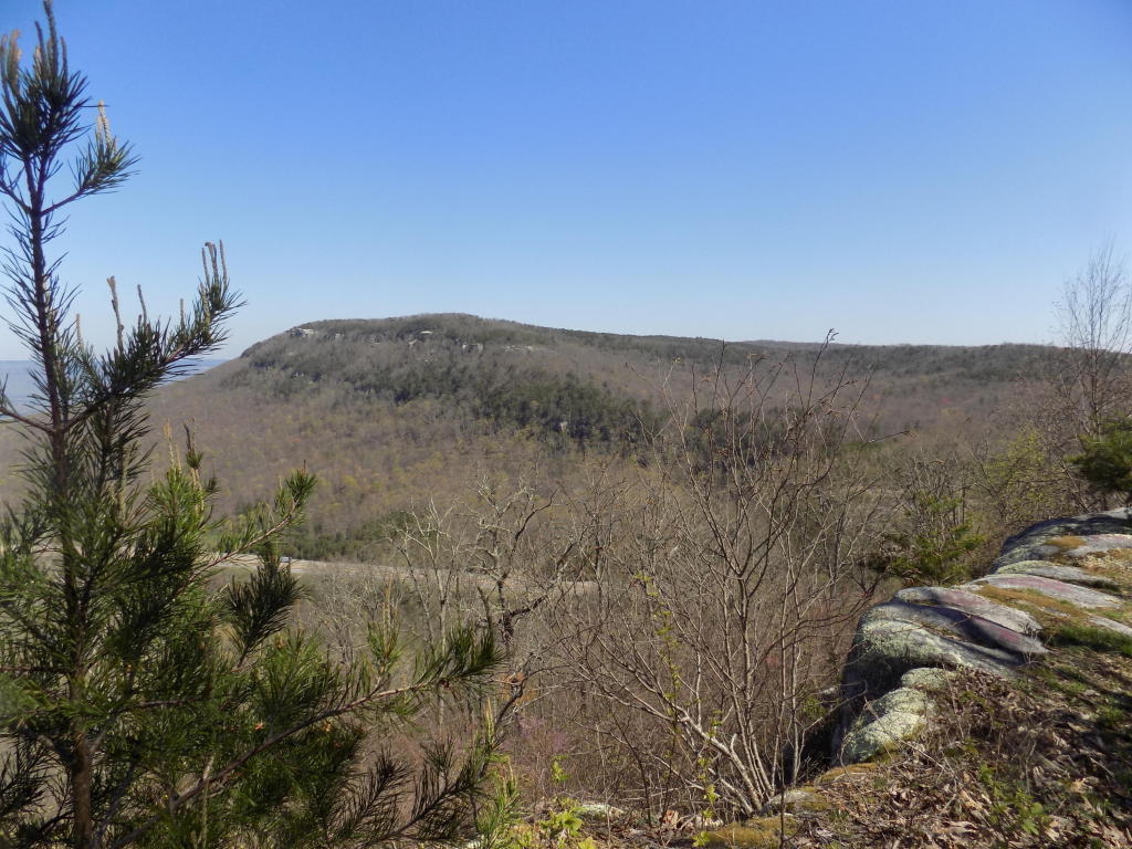 856 Window Rock Rd, Dunlap, TN 37327 photo 1