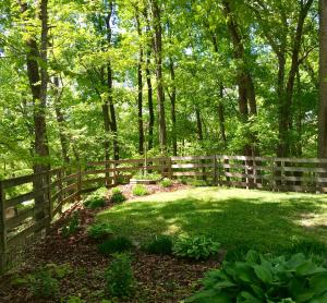 10416 E Brainerd Rd, Apison, TN 37302 photo 54