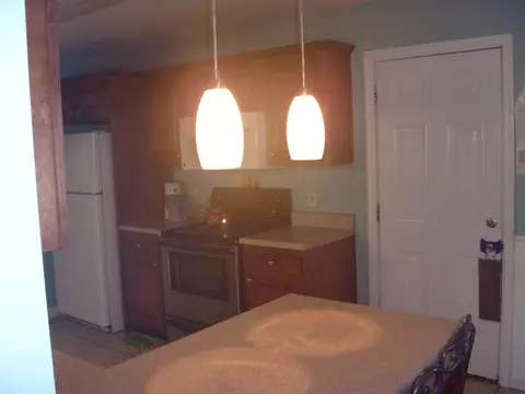 1425 Spring Meadows Dr, Ringgold, GA 30736 photo 17