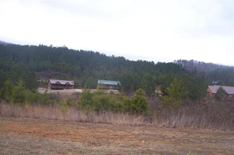 117 White Water Run Dr, Ocoee, TN 37361 photo 1