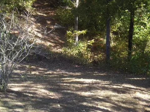 195 Harte Rd, Jasper, TN 37347 photo 38
