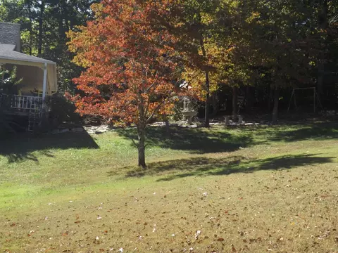 195 Harte Rd, Jasper, TN 37347 photo 35