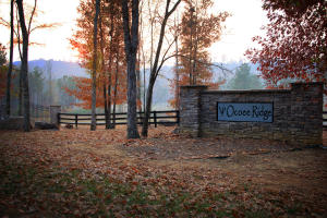 144 Bob White Rd, Ocoee, TN 37361 photo 43