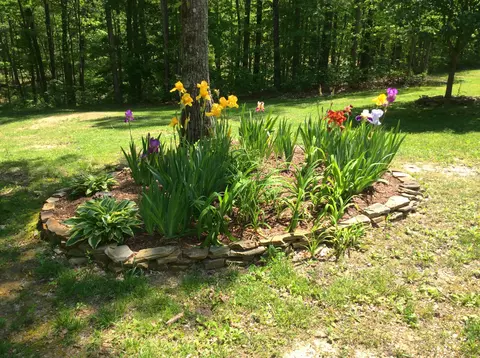 148 Bob White Ln, Dunlap, TN 37327 photo 45