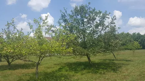 2025 Lower Firetower Rd, Sequatchie, TN 37374 photo 13