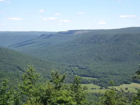 775 Vineyard Point Rd, Sequatchie, TN 37374 photo 3