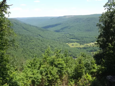 775 Vineyard Point Rd, Sequatchie, TN 37374 photo 31