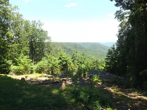 775 Vineyard Point Rd, Sequatchie, TN 37374 photo 32