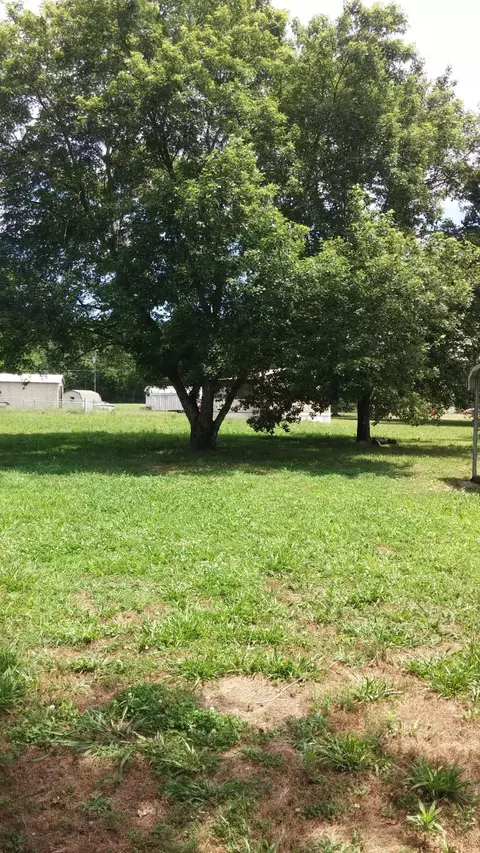 126 Pebble Dr, Dunlap, TN 37327 photo 17