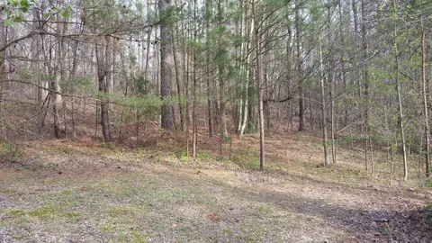 202 Dennis Pierce Rd, Ringgold, GA 30736 photo 6