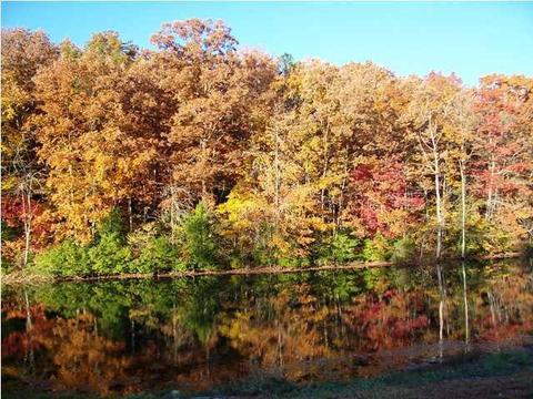 276 White Oak Tr, Sequatchie, TN 37374 photo 1