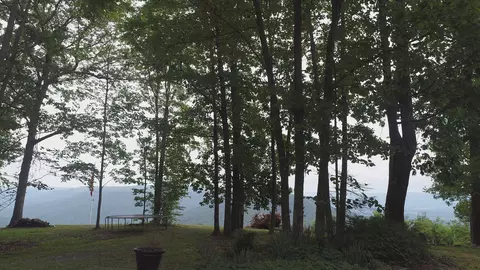 1075 Vineyard Point Rd, Sequatchie, TN 37374 photo 9