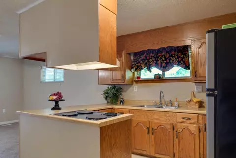 345 Whiteside Loop Loop, Guild, TN 37340 photo 19