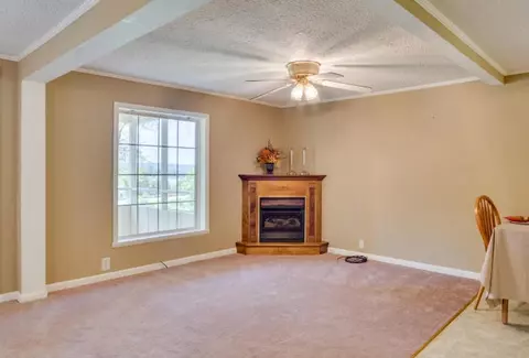 345 Whiteside Loop Loop, Guild, TN 37340 photo 7