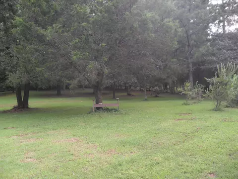3942 Clonts Rd, Apison, TN 37302 photo 27
