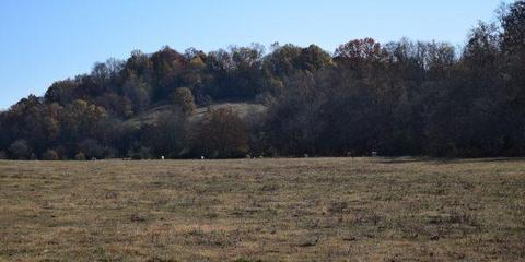 2350 Bledsoe Rd, Pulaski, TN 38478 photo 1