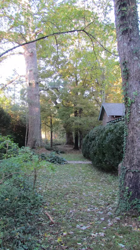 5515 E River Rd, Mentone, AL 35984 photo 60